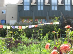 Peace grows in garden rows.