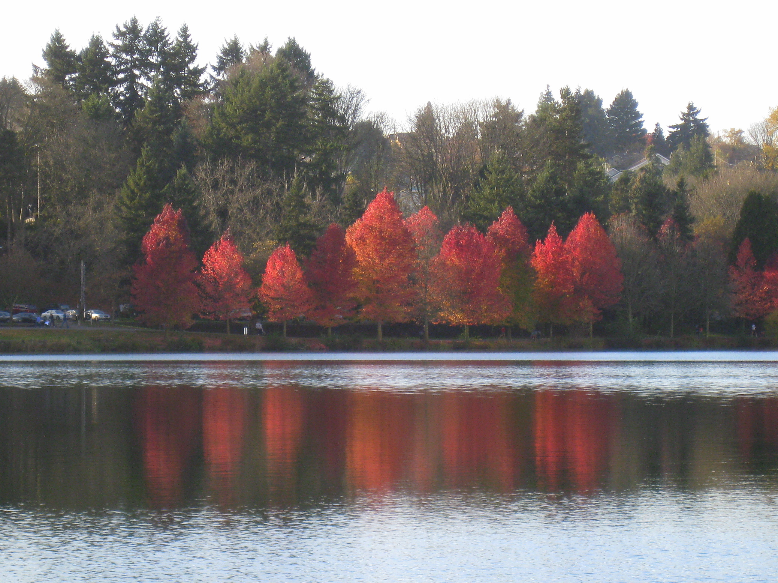 Red lake, Green Lake